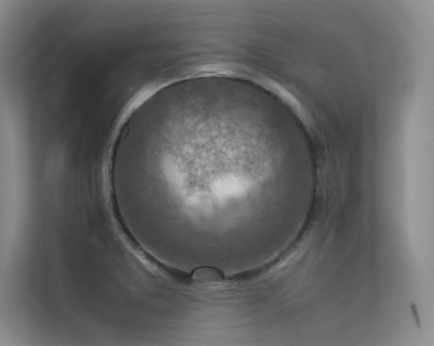 X0000113311373200909141303