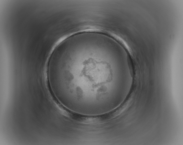 X0000113311375200909141303