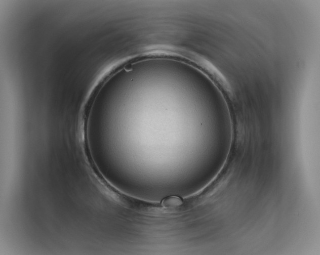 X0000113311376200909141303