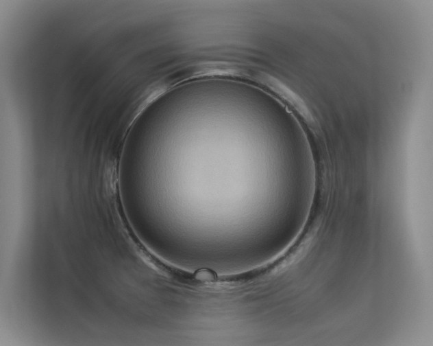 X0000113311377200909141303