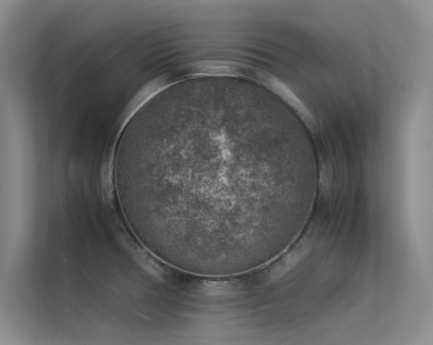 X0000113311378200909141303