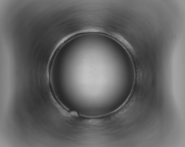 X0000113311380200909141303