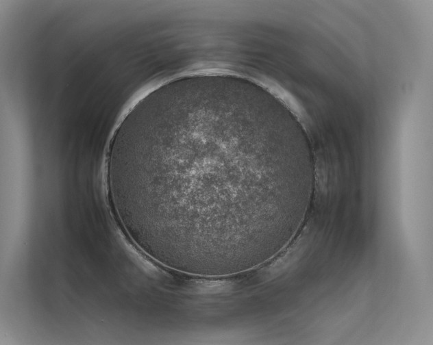 X0000113311382200909141303