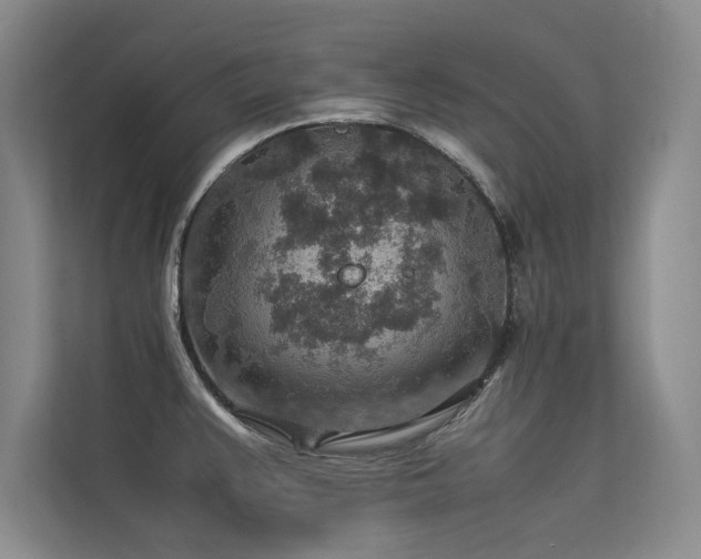 X0000113311383200909141303