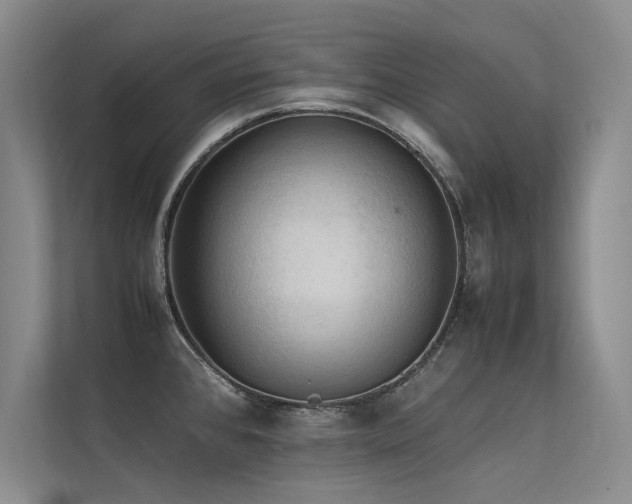 X0000113311384200909141303