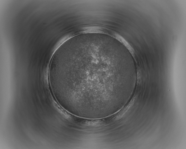 X0000113311386200909141303