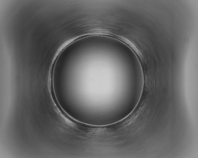 X0000113311387200909141303