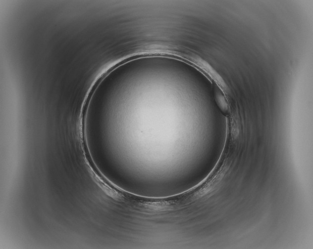 X0000113311388200909141303