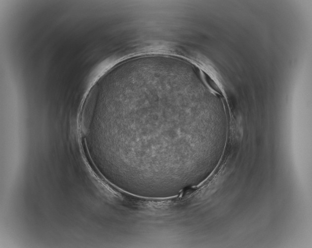 X0000113311389200909141303