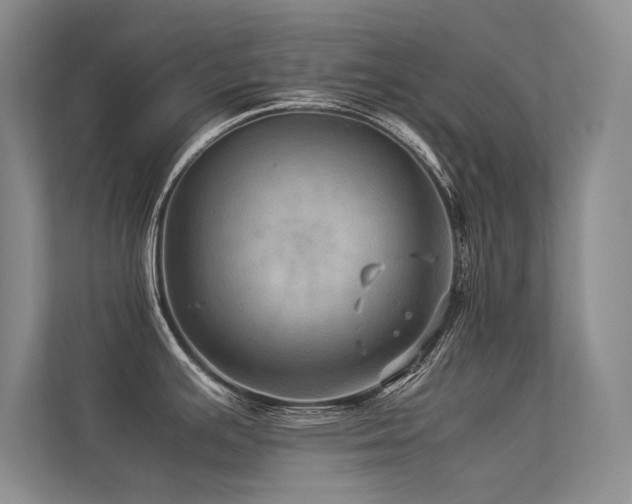 X0000113311391200909141303