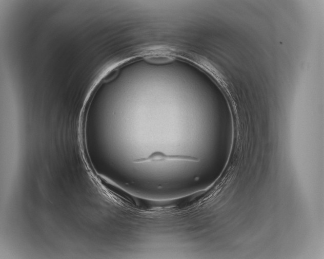 X0000113311392200909141303