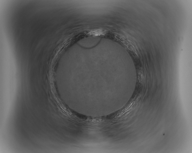 X0000113311393200909141302