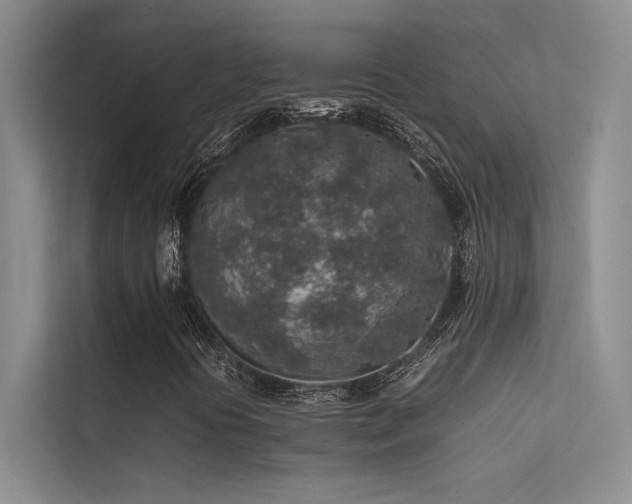 X0000113311394200909141302