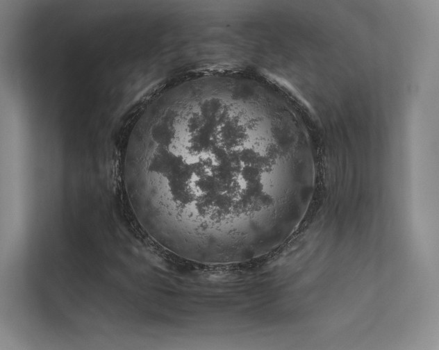 X0000113311399200909141302