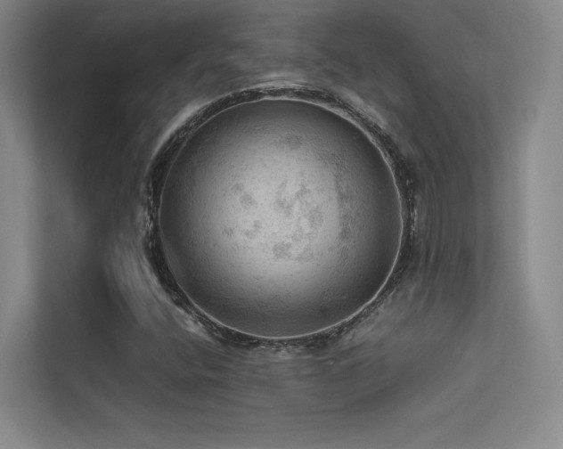 X0000113311400200909141302