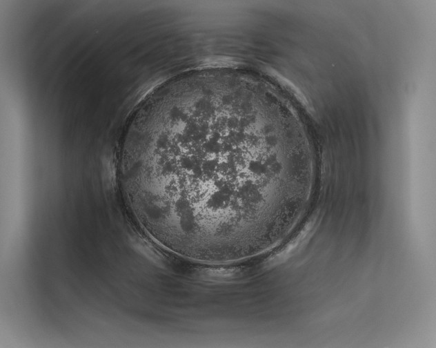 X0000113311401200909141302