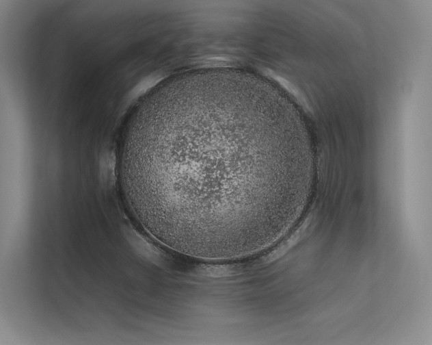 X0000113311402200909141302