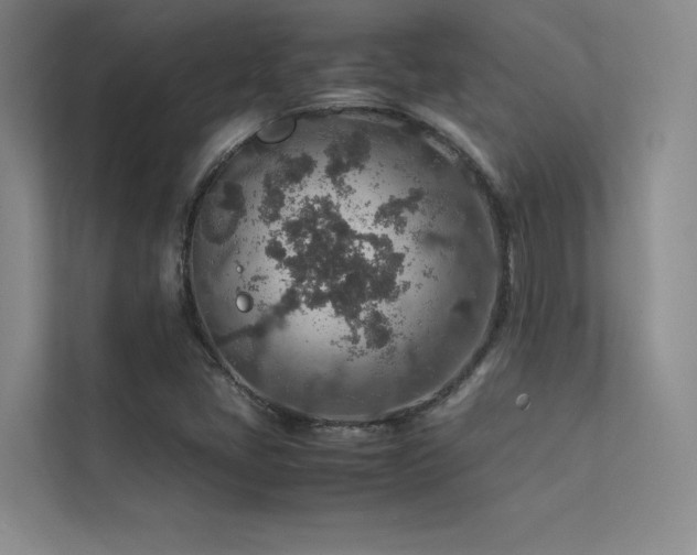 X0000113311405200909141302