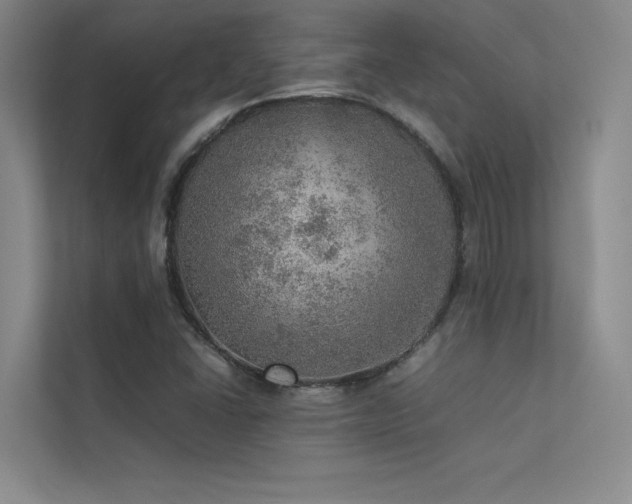 X0000113311406200909141302