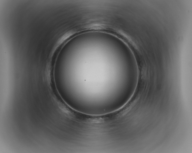 X0000113311410200909141302