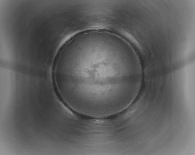 X0000113311412200909141302