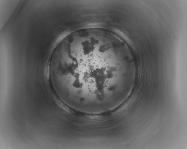 X0000113311413200909141302