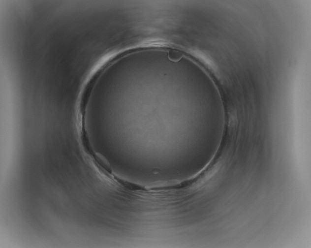 X0000113311414200909141302