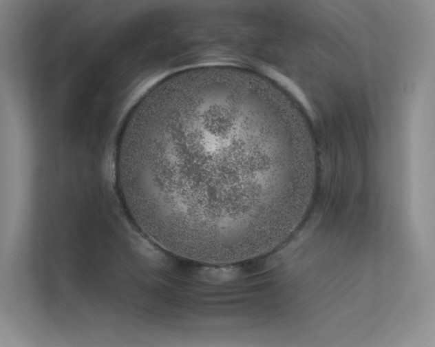 X0000113311415200909141303