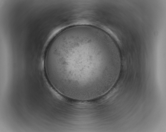 X0000113311416200909141303