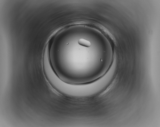 X0000113311417200909141303