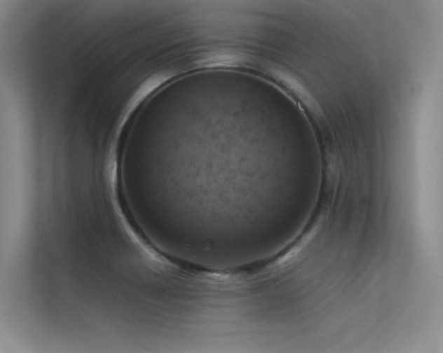 X0000113311418200909141303