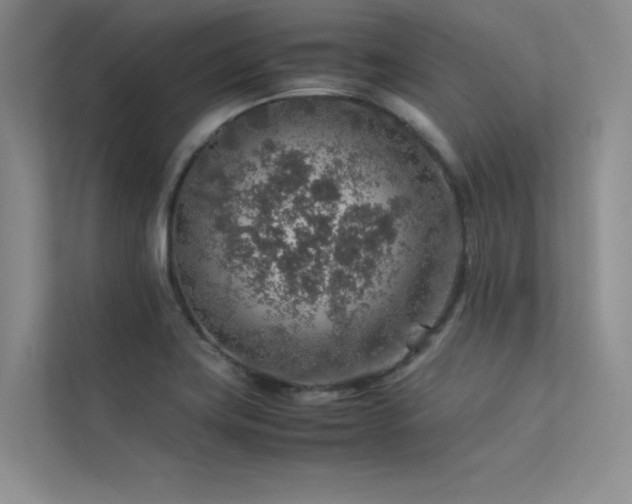 X0000113311419200909141303