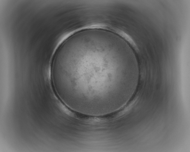 X0000113311420200909141303