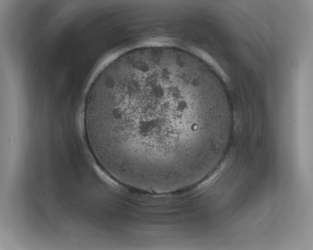 X0000113311421200909141303