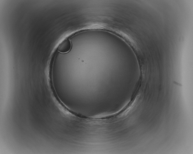 X0000113311422200909141303