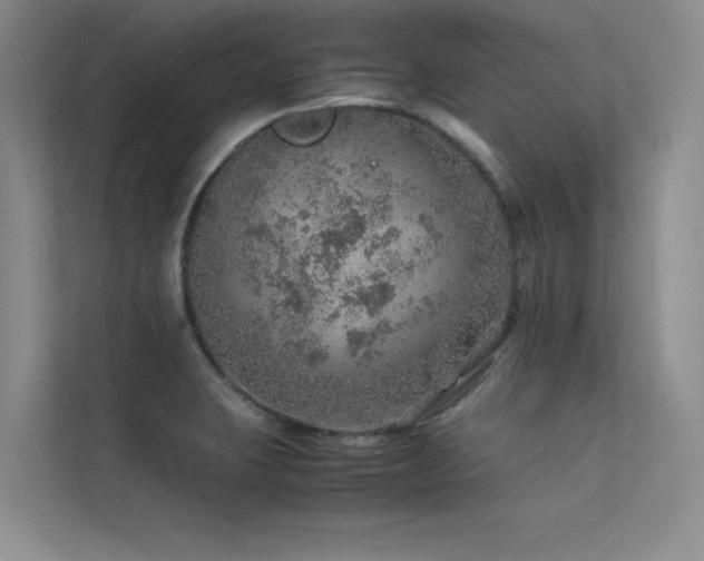 X0000113311423200909141303