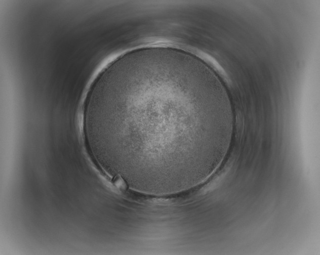 X0000113311424200909141303