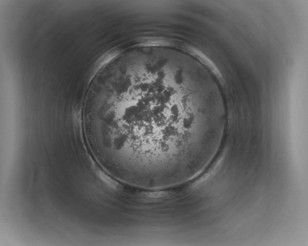 X0000113311425200909141303