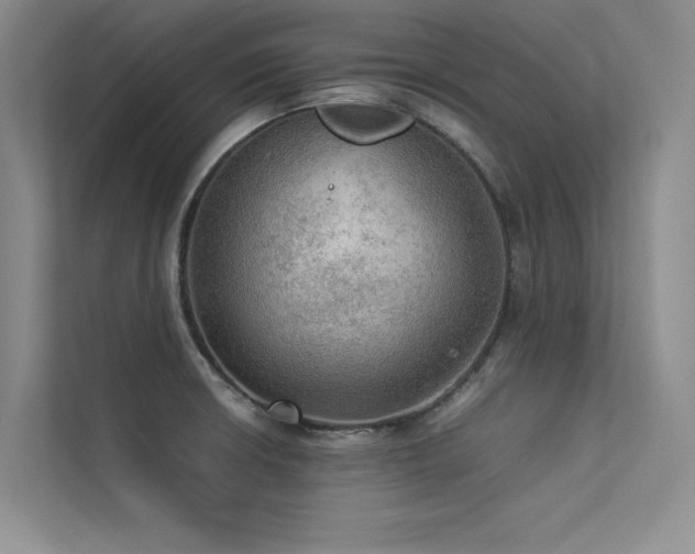 X0000113311426200909141303