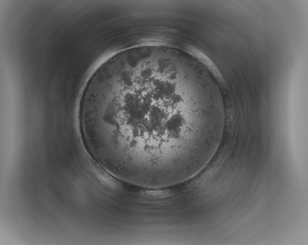 X0000113311427200909141303