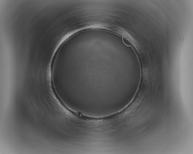 X0000113311428200909141303