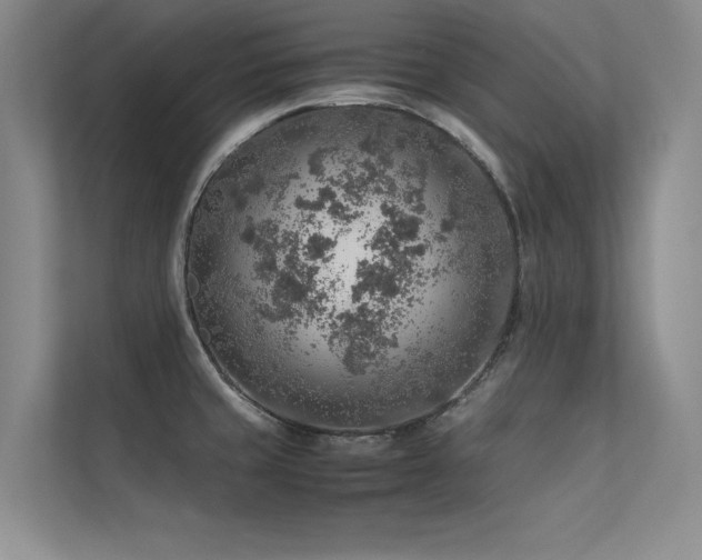 X0000113311429200909141303