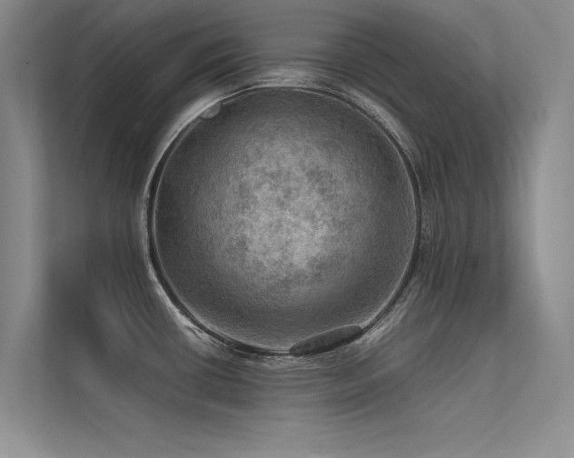 X0000113311434200909141303