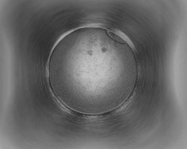 X0000113311436200909141303