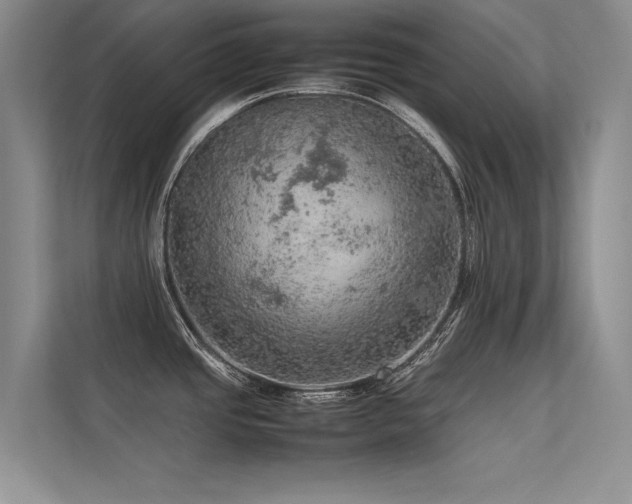 X0000113311437200909141303