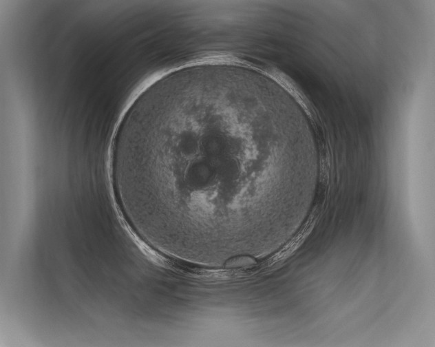 X0000113311438200909141303