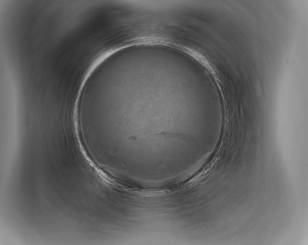 X0000113311440200909141303