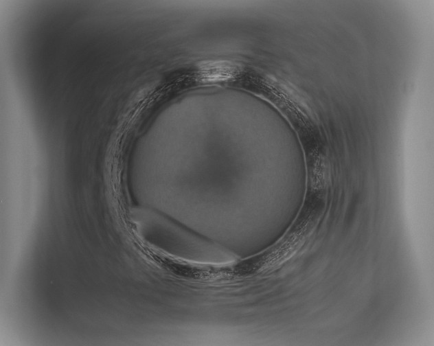 X0000113311441200909141302