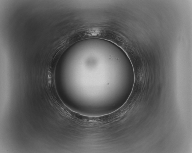 X0000113311442200909141302