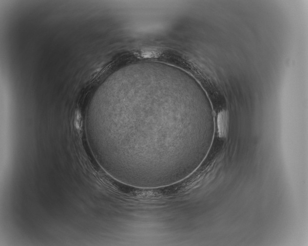 X0000113311443200909141302